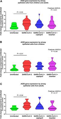 Effect of Angiotensin-Converting-Enzyme Inhibitor and Angiotensin II Receptor Antagonist Treatment on ACE2 Expression and SARS-CoV-2 Replication in Primary Airway Epithelial Cells